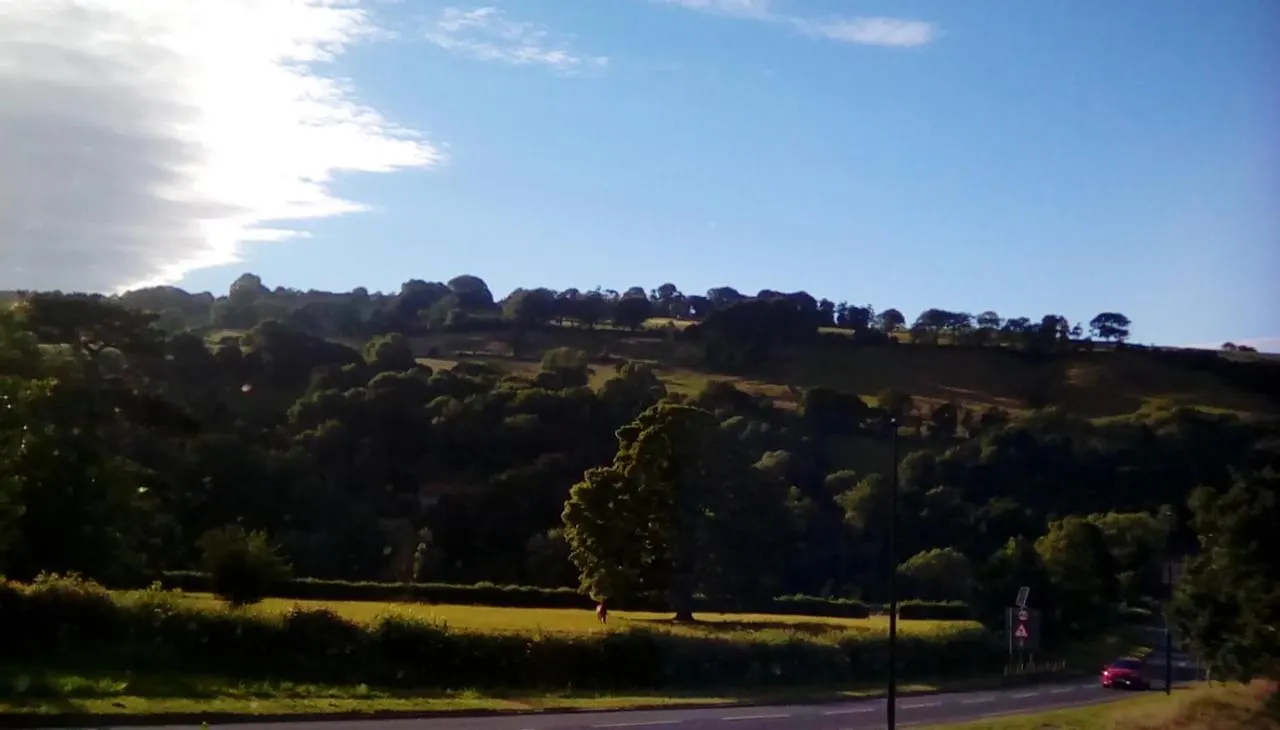 Beechlands B & B Sleights United Kingdom