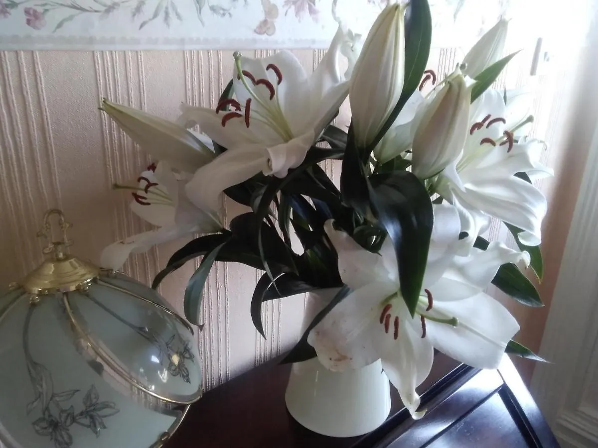 Beechlands B & B Sleights United Kingdom